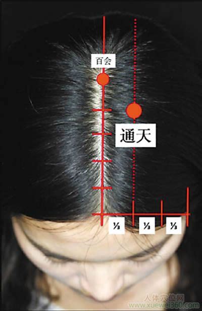 通天穴|通天的准确位置图片